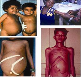 D:\Mukesh Samant 2006-07\Mukesh thesis\Thesis figures\Final VL.tif